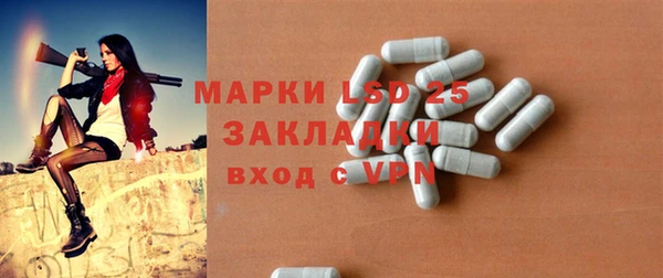 дживик Бородино