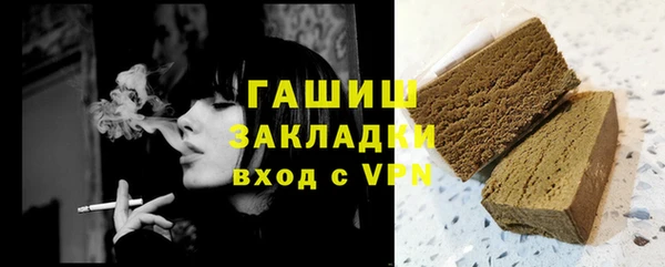 дживик Бородино