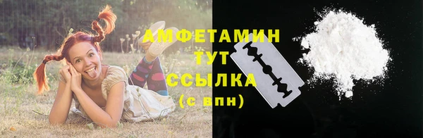 дживик Бородино