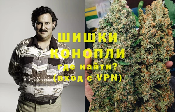 гидра Бронницы