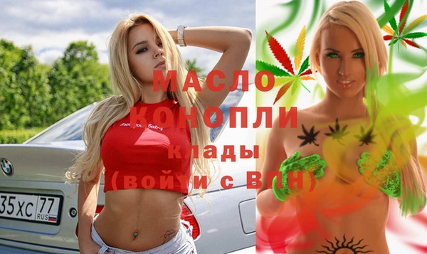 дживик Бородино