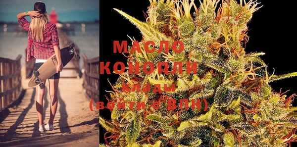 дживик Бородино