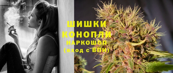 дживик Бородино