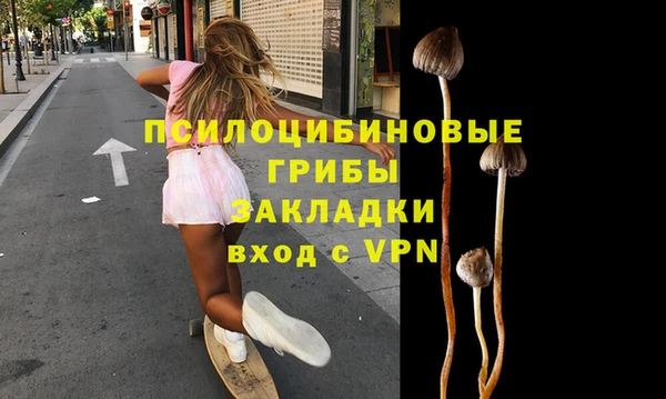 дживик Бугульма