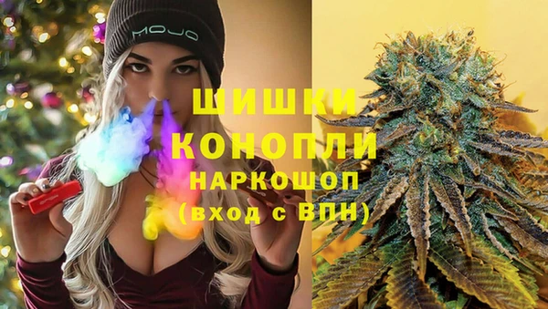 дживик Бородино