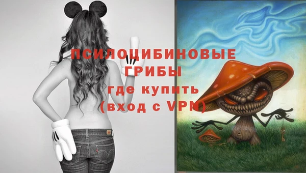 гидра Бронницы