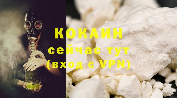 дживик Бородино